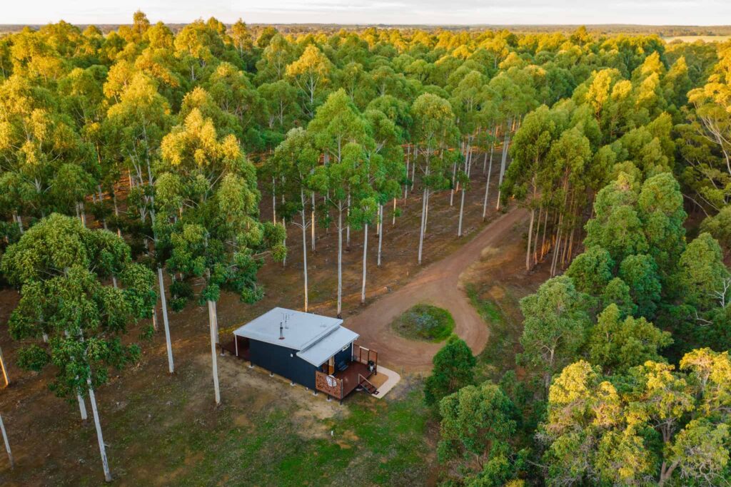 chalet-bluegum-cabin-tree-chalets-forest-retreat