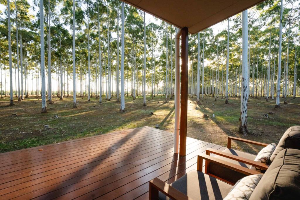 chalet-bluegum-front-deck-tree-chalets-forest-retreat